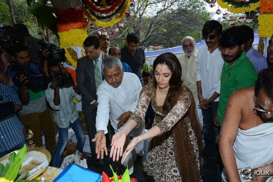 Bengal-Tiger-Movie-Opening